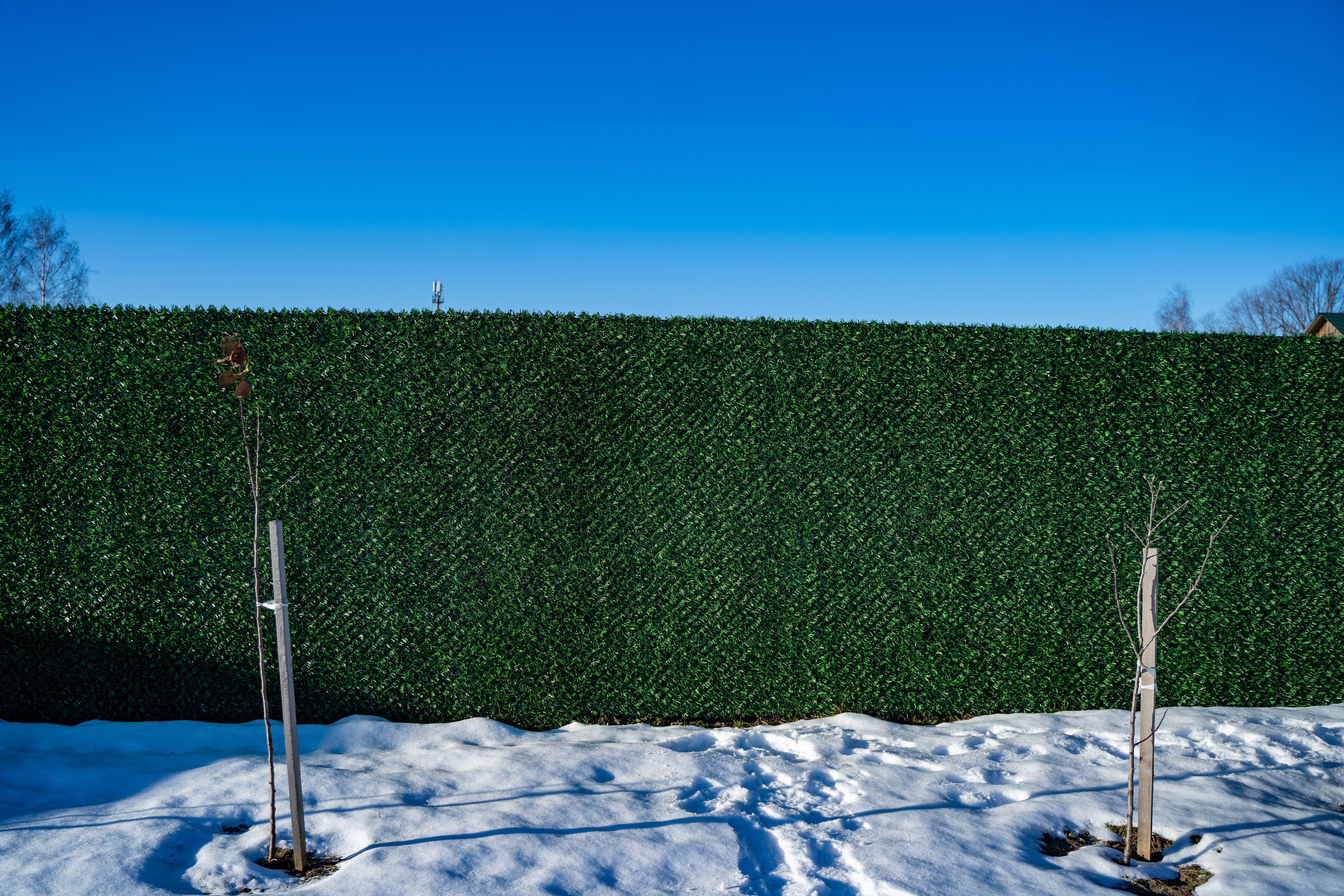 Вечнозеленый забор Grass Fence рулон 2м фото 8 в Рубежном
