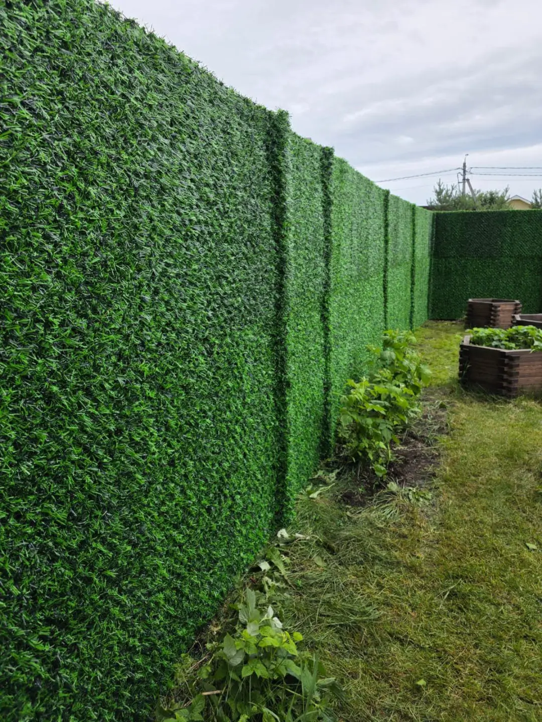 Вечнозеленый забор Grass Fence 37м фото 1 в Рубежном